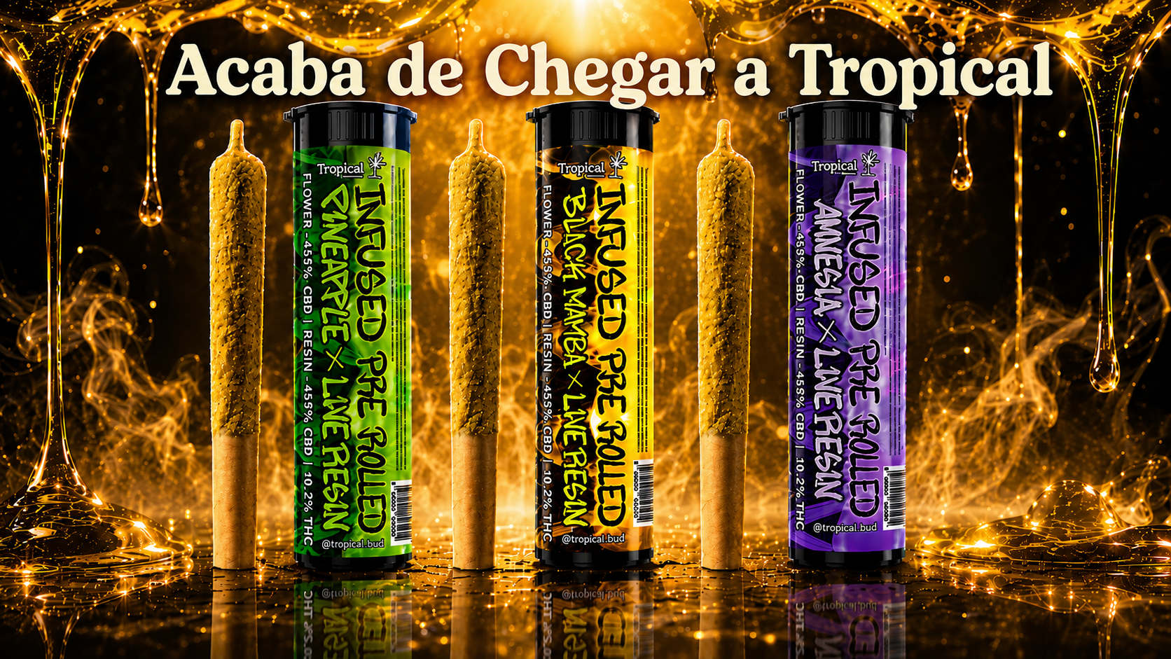 Destaque Tropical Bud