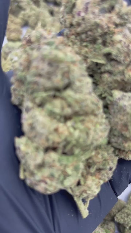 Medellin - Flor de CBD Indoor Premium