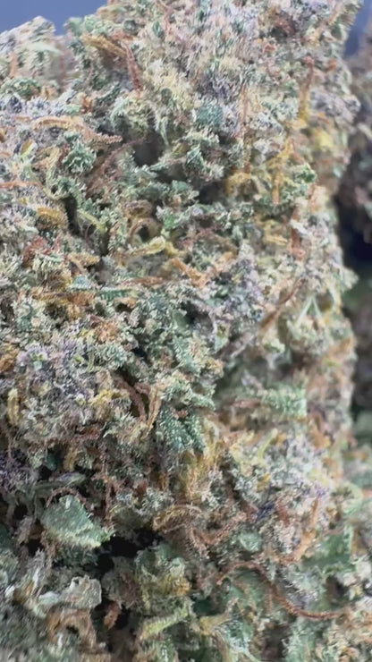 Purple Yuzu - Flor de CBD Indoor Premium