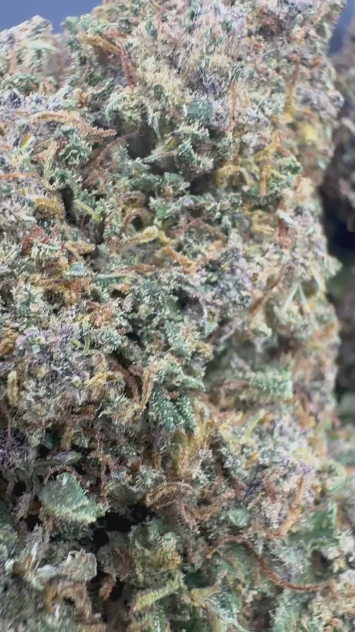 Purple Yuzu CBD Indoor Premium
